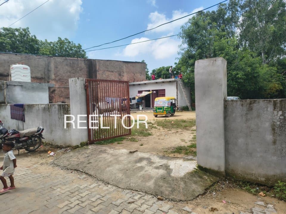 Plots For Rent In Naddi Dharamshala