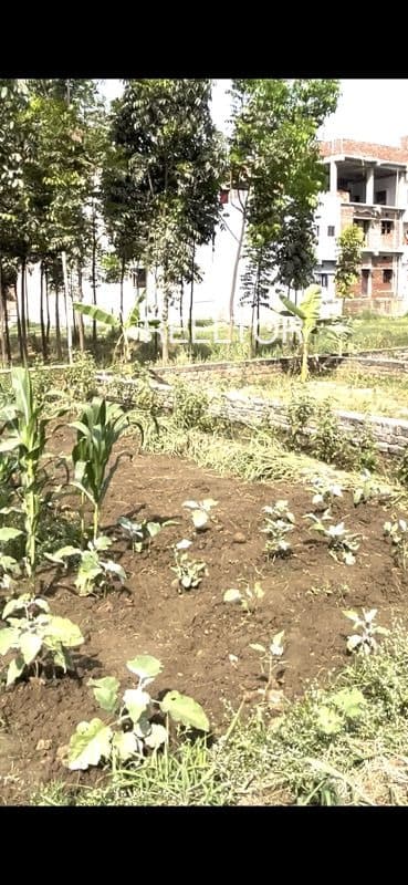 Plots For Rent In Eroor Kanayannur