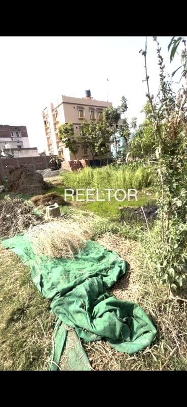 Plots For Rent In Nagla Duthararn Bharatpur