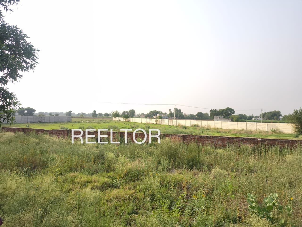 Plots For Rent In Rajkota Pauni