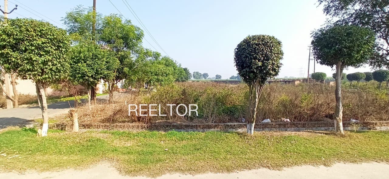 Plots For Rent In Chhanna Agrian Guhla