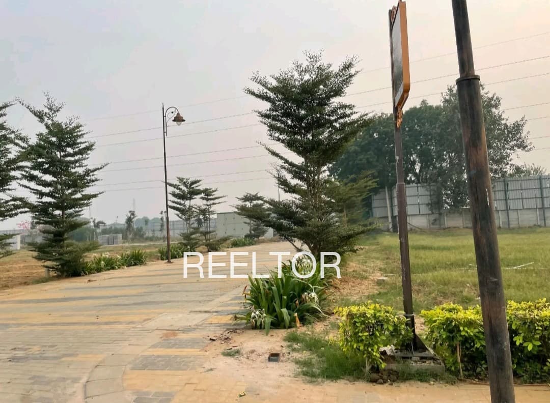 Plots For Rent In Kachnara Pratapgarh