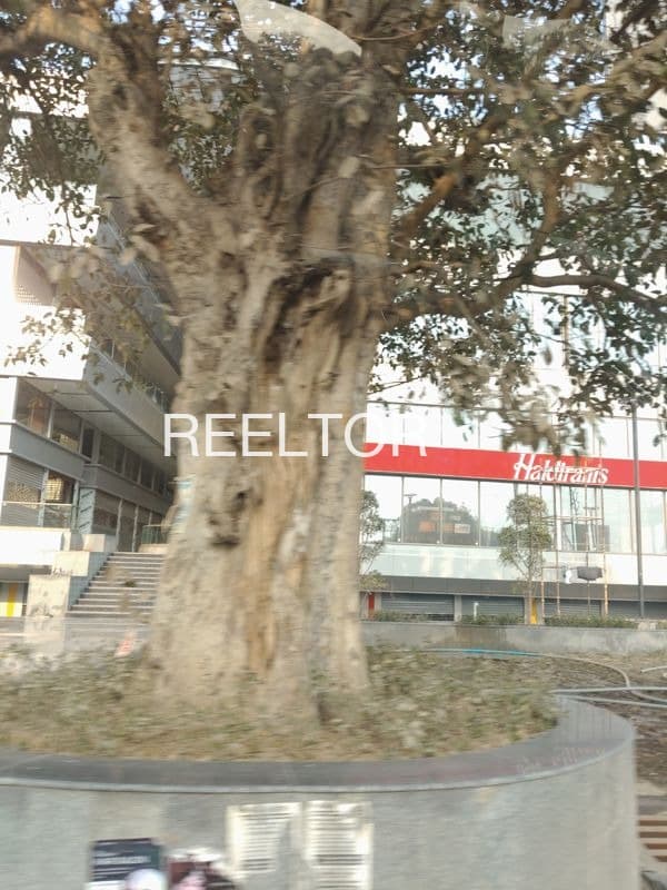 Showroom For Rent In Barandwa Tarana