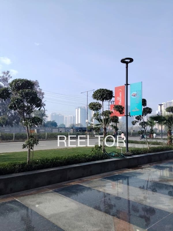 Shop For Rent In Ragha Chhoti Rajgarh