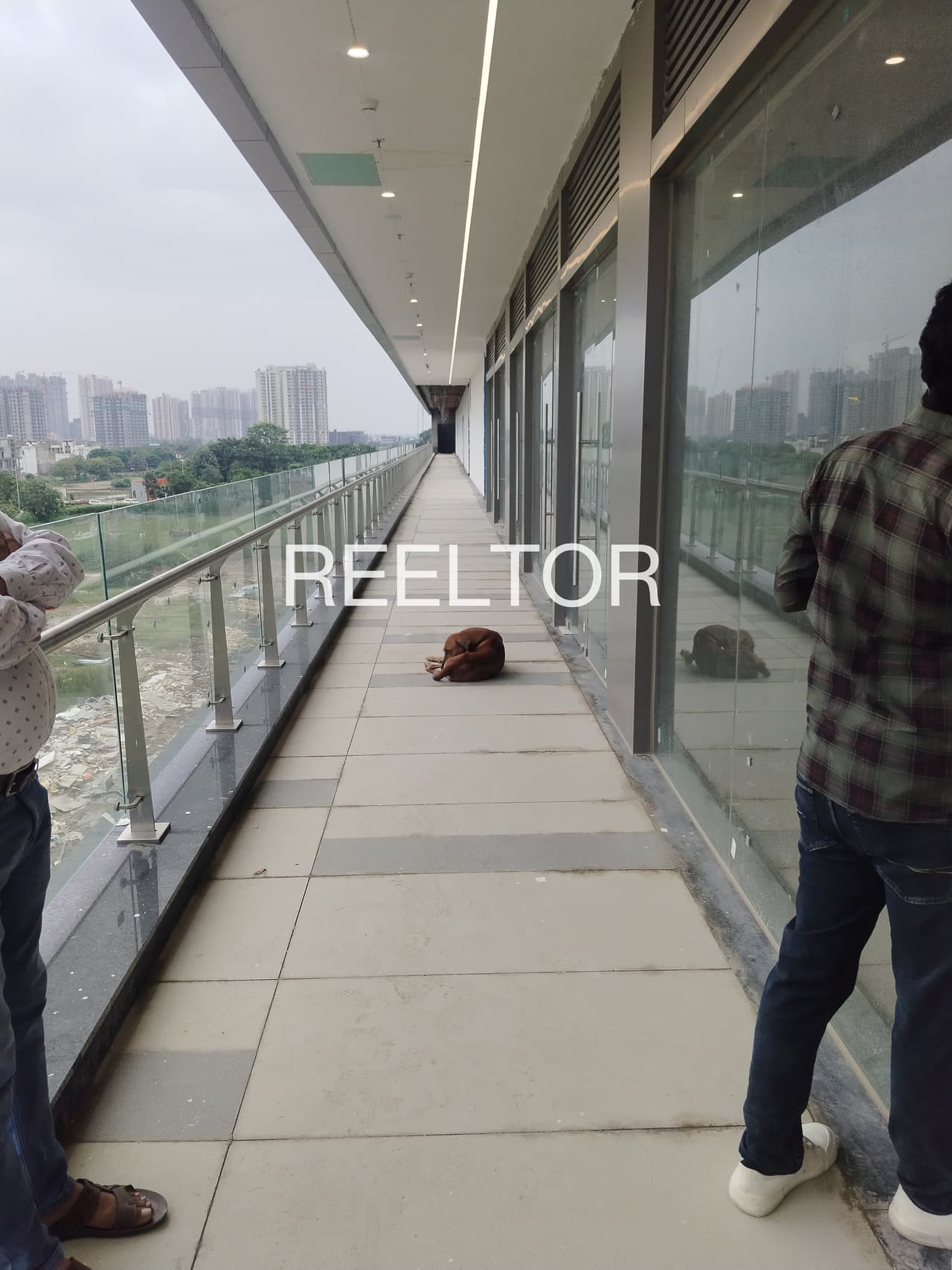 Shop For Rent In Jaret Mau Tahsil