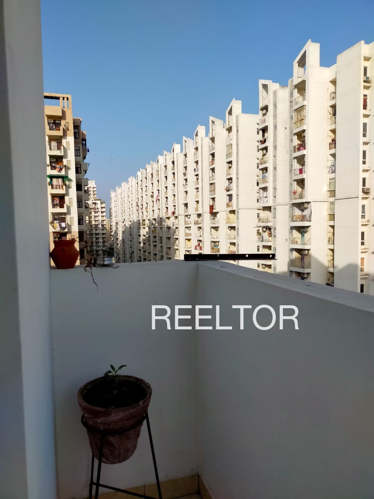 Showroom For Rent In Jamrauli Ka Guwara Reni