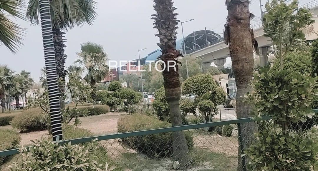 Shop For Rent In Kariya Sailana
