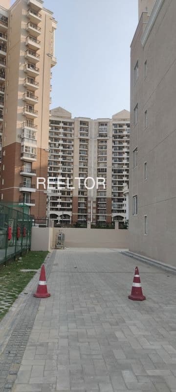 Shop For Rent In Dharampur Lodge Civil Lines
