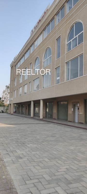 Shop For Rent In Daulatpura Mandsaur Nagar