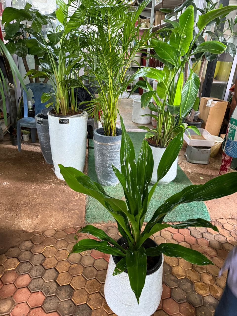 Explore 1 Bhk In Amdanga For Sale Magnolia Prestige Amdanga