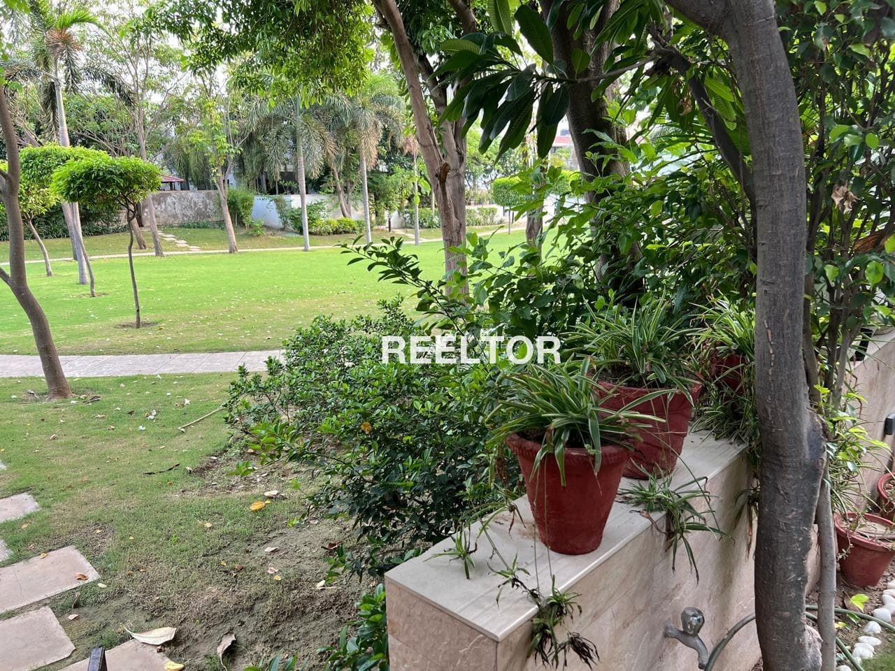 Shop For Sale In Ramkishanpura Peeplu