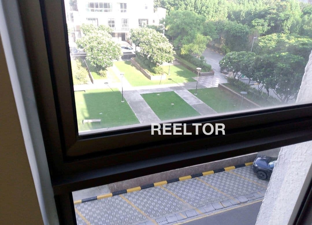 Shop For Sale In Chhalera Dadri