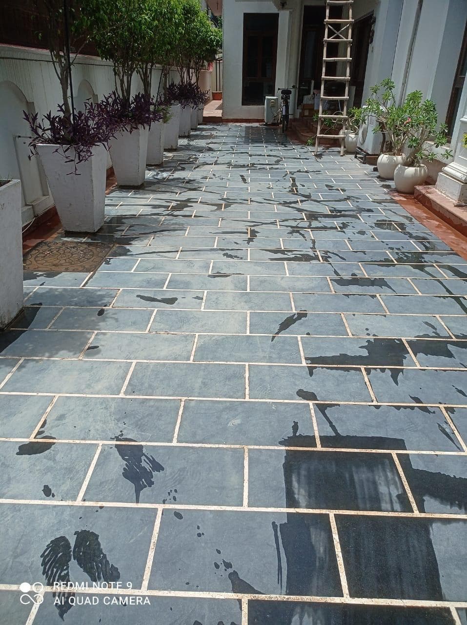 3 Bhk Flat For Rent In Sagar Green Hill Villas Bhopal