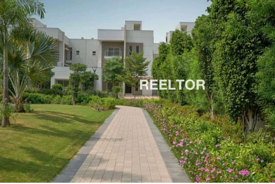 Shop For Sale In Sector 62 Dadri