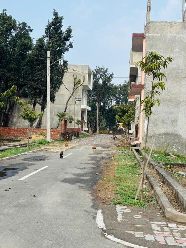 4 Bhk House For Rent In Bsnl Society Golf Club