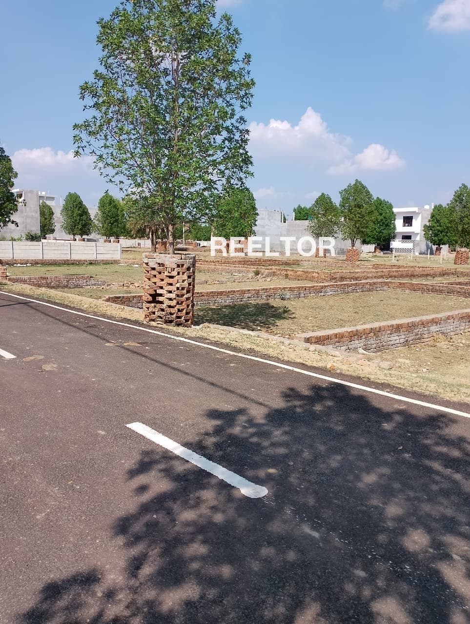 Image of Park-Facing 6 BHK Villa for Rent in Sector 55