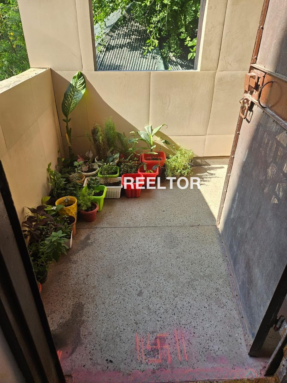 Shop For Rent In Rayanwala Jamwa Ramgarh