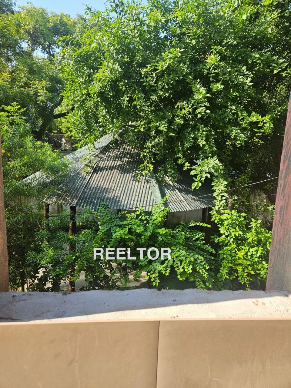 Shop For Sale In Harola Dadri