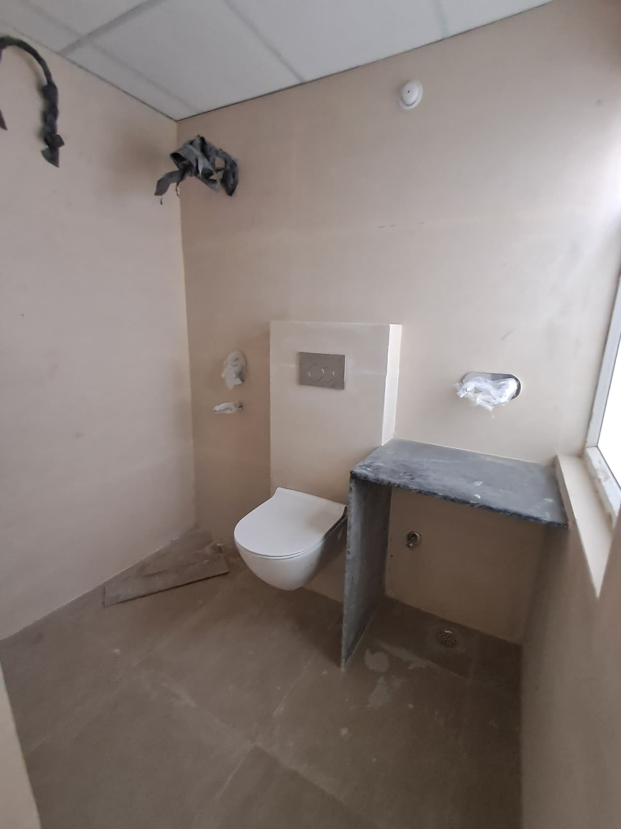 Villa For Rent In Ankhir Faridabad