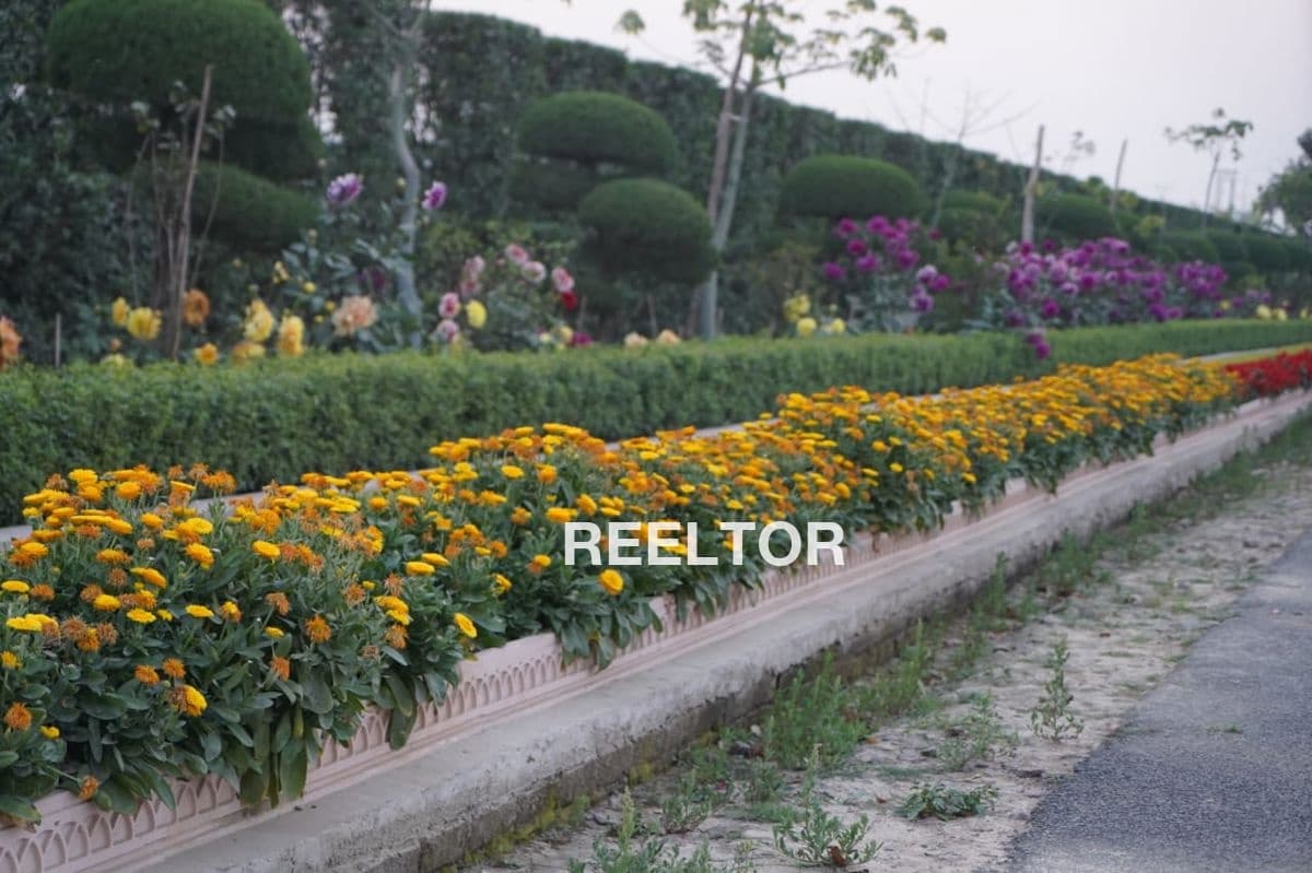 Villa For Rent In Blue Ridge Town Mulshi