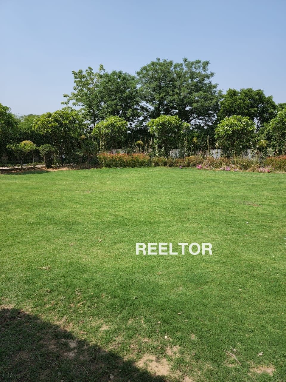 Image of South-Facing 7 BHK Villa for Rent in Shankar Nagar