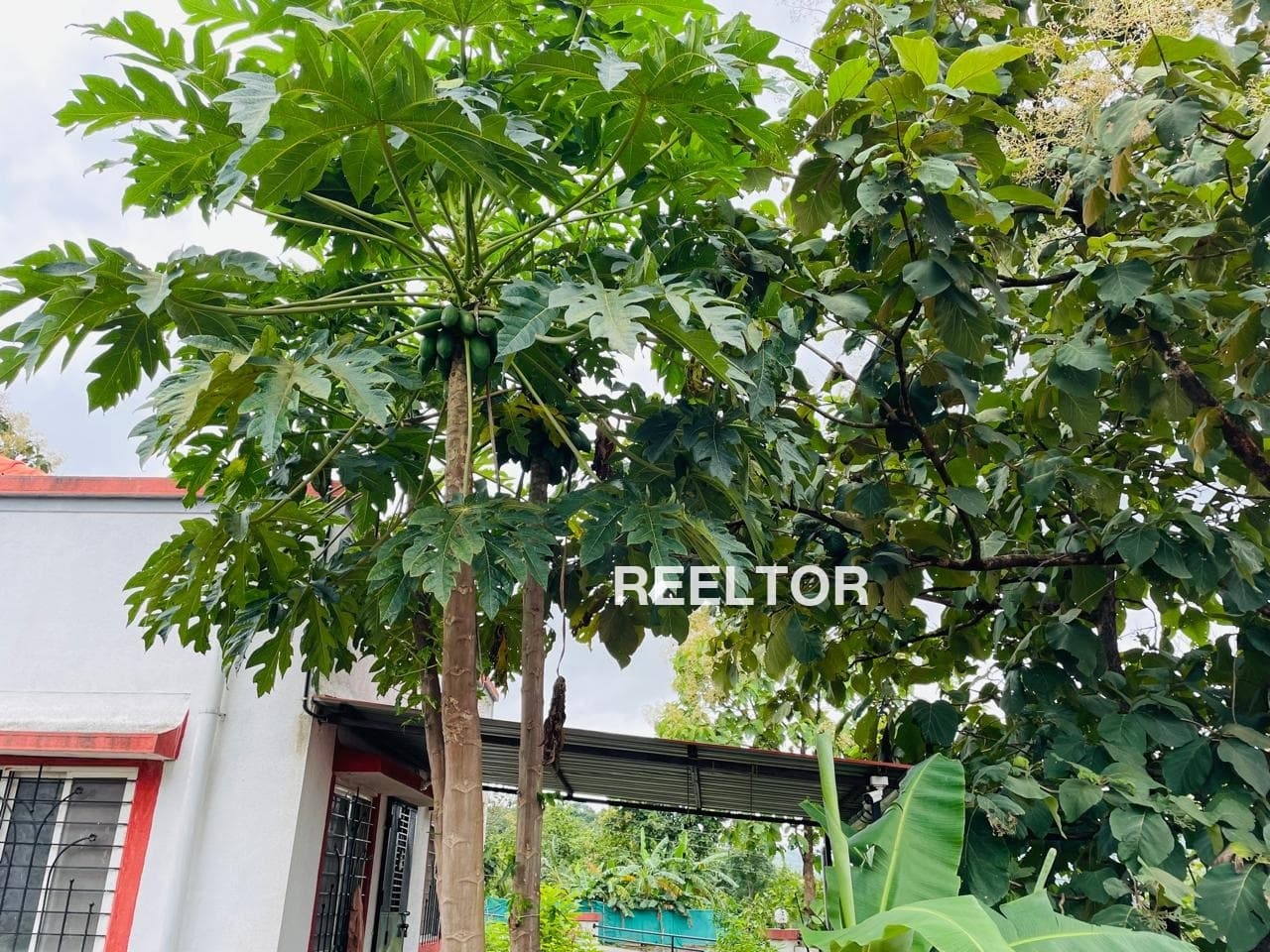 Image of Independent 5 BHK Villa in Dariya, Chandigarh