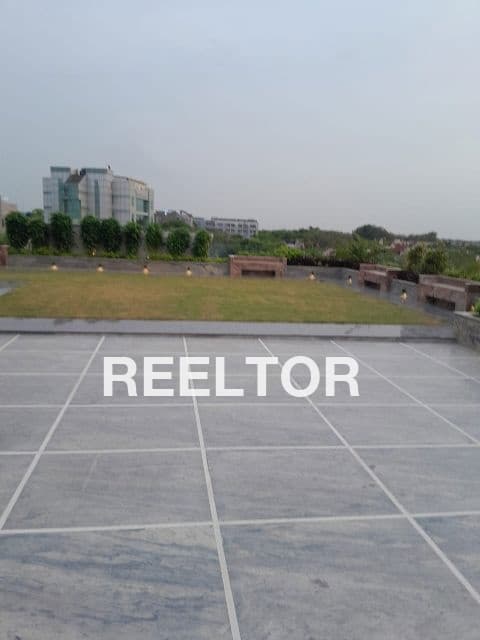 Shop For Rent In Sikandarpur Dadri