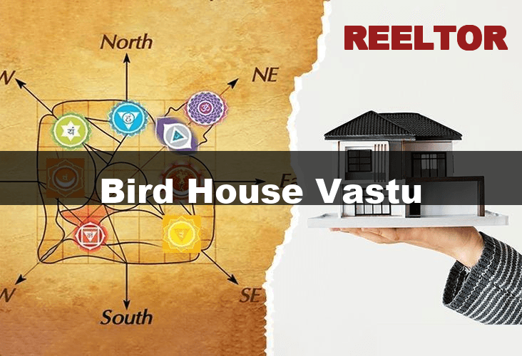 Harmonious Living with Bird House Vastu