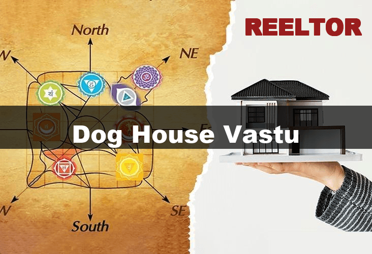 Unlocking Dog House Vastu Secrets