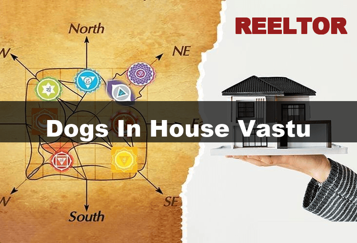 Harmonizing Homes with Dogs in Vastu