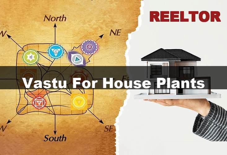 Vastu for House Plants Harmony Guide