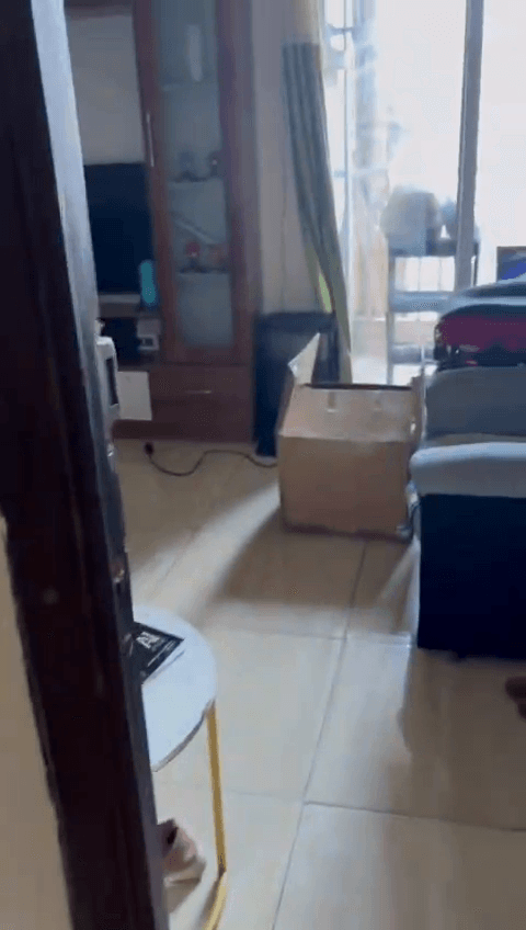 1 Bhk Properties For Rent In Sreeniketan Apartment In Vasundhara Enclave Trilokpuri