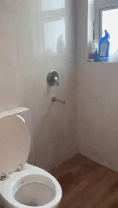 Flat For Rent In Kharuni Morni