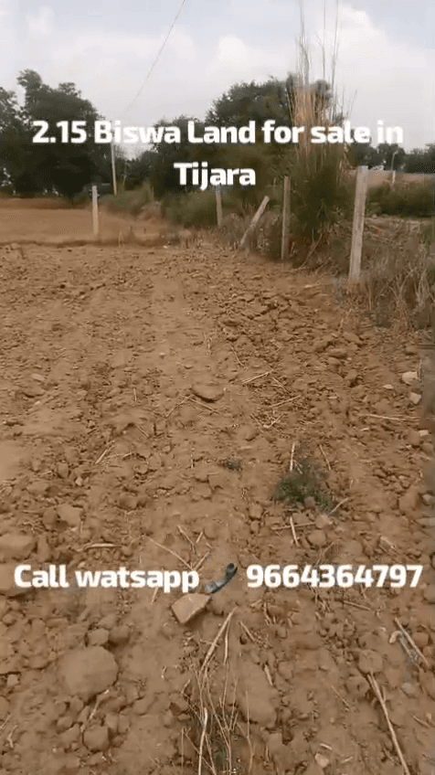Plots For Rent In Binoliya Tijara