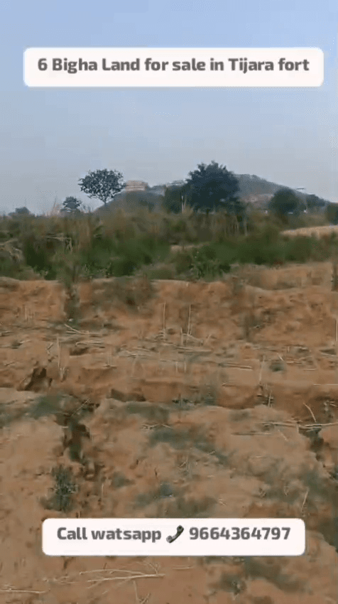 Plots For Rent In Binoliya Tijara