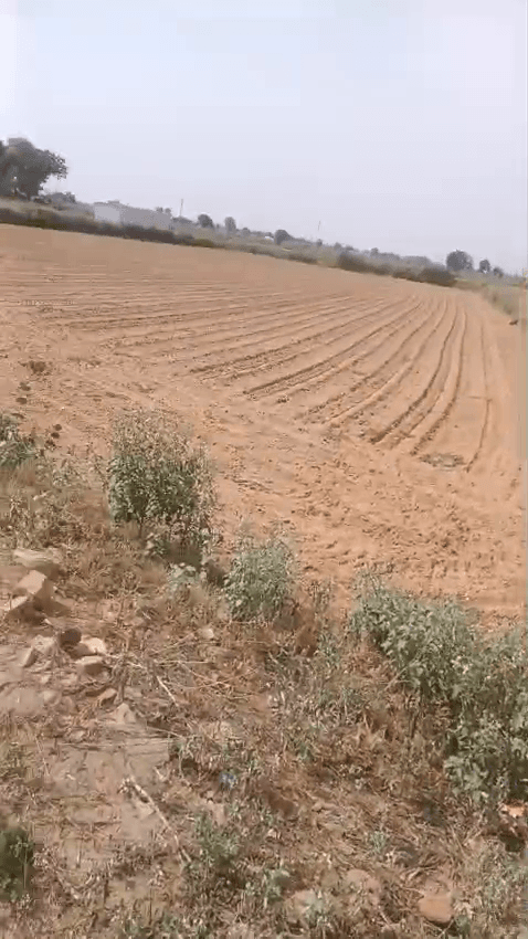 Plots For Rent In Bagheri Khurd Kotkasim
