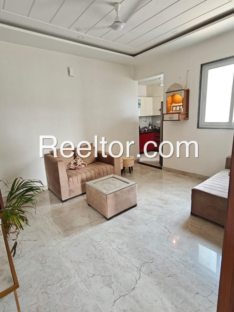 Buy 2 Bhk In Pacific Apartment Bilaspur