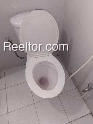 Shop For Rent In 10 Sm Anupgarh