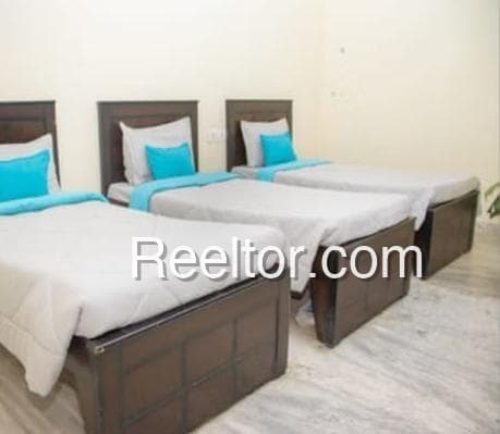 Image of Mejia's Paradise - 24 Rooms PG in Mebu, Arunachal Pradesh
