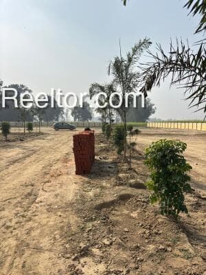 Image of 3993 sqft Ongole Plot for Rent