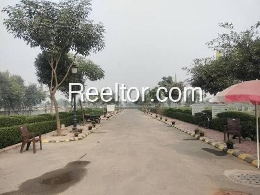 Image of Anupgarh Land Plot for Rent