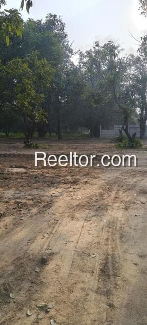 Plots For Rent In Kanjamaranpatti Aravakurichi