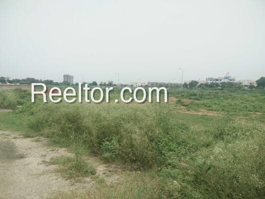 Image of Bap Plot for Sale, Phalodi District