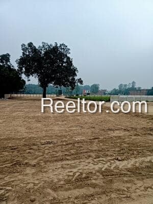 Image of Bharatpur Plot Land Sale