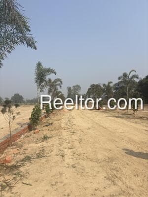 Image of Bilmukh Land Plot - 2750 sqft, Lakhimpur