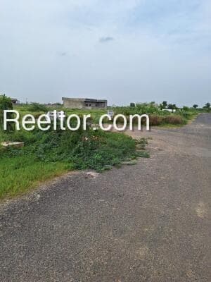 Image of Borio Plot - 6005 sqft Land for Sale