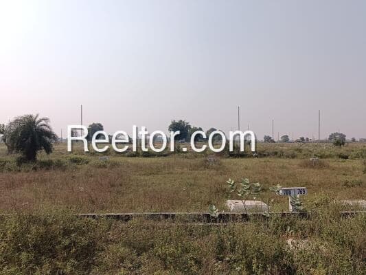 Image of Chakai Plot for Sale - 5974 sqft, ₹10,835,880