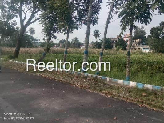 Plots For Sale In Amtia Adwar Pangi