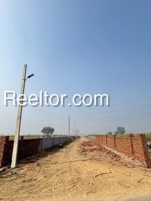 Image of Chunlika Plot for Sale | Nagaland's Best Investment Opportunity