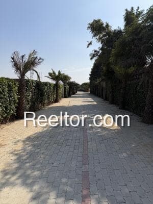 Image of Deori Plot - 2257 sqft Land for Rent